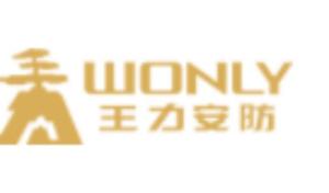 王力安防科技股份