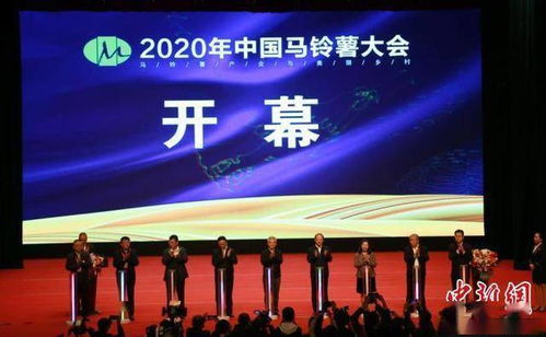 中国拓马铃薯产业增值空间 科技研发促主粮化生产