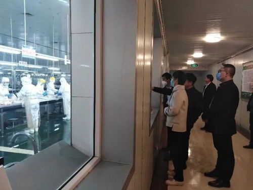 自治区市场监管局质量发展局刘勇局长来我市对服务百家企业高质量发展申报推荐企业进行实地考察