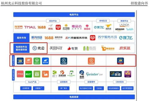 saas第一股 光云科技 深度绑定阿里系,如何打破成长天花板